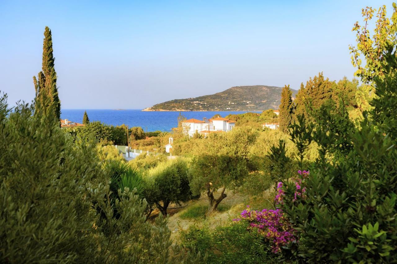 Kedros Hotel Samos Island Exteriér fotografie